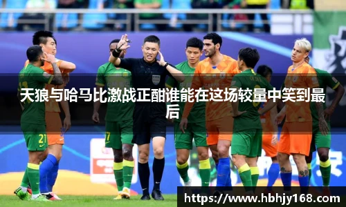 星空·综合体育官网